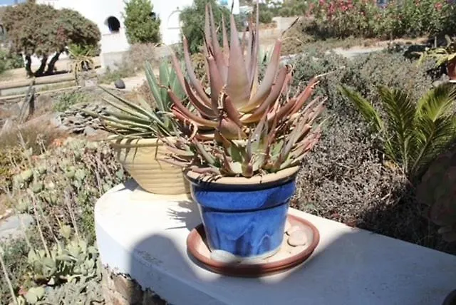 Ferienhaus House Of The Setting Sun